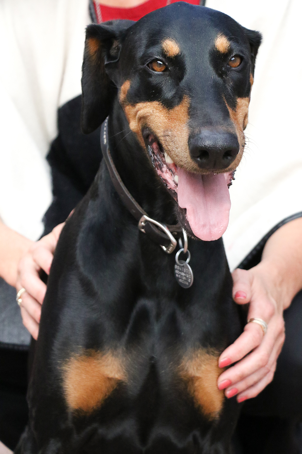 Detonix Colon Cleansing Health Therapy